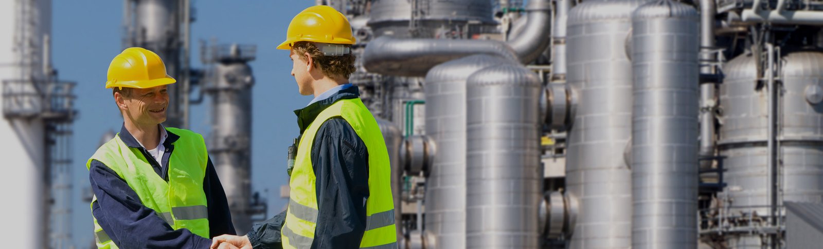Golden Enterprises Chemical Products